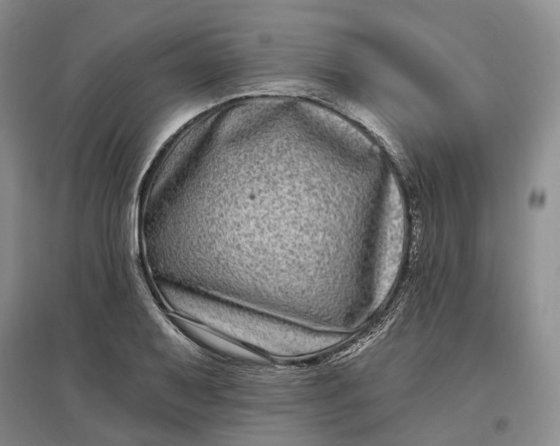 X0000097591079200803141849