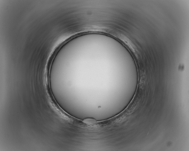 X0000097591080200803141849