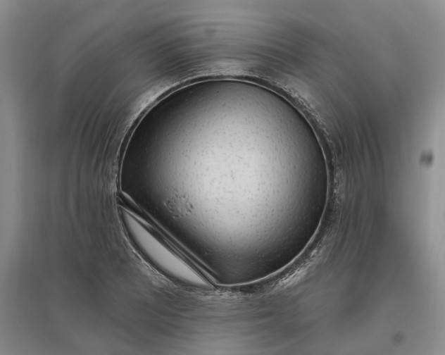 X0000097591081200803141849