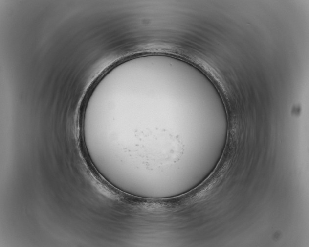 X0000097591082200803141849