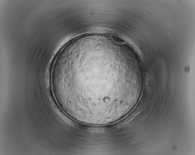 X0000097591083200803141849