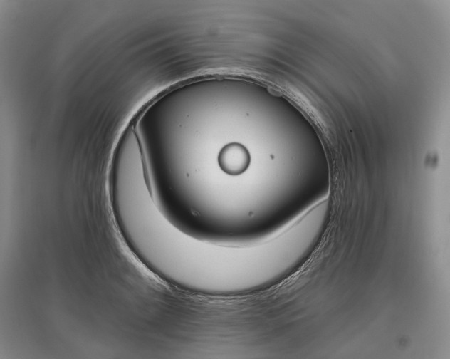 X0000097591084200803141849