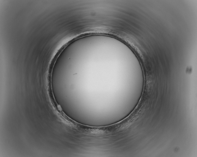 X0000097591085200803141849