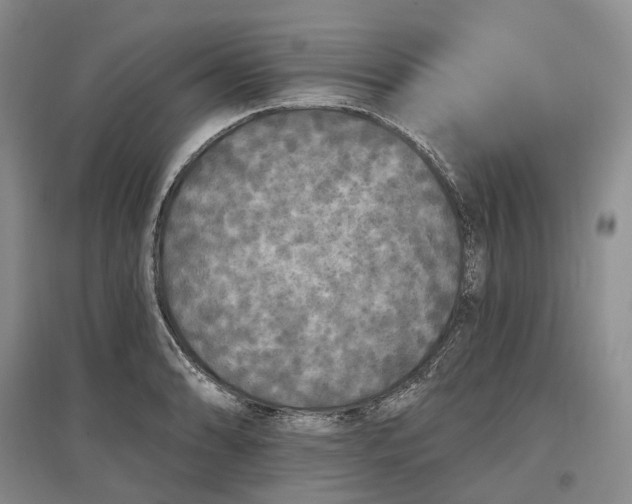 X0000097591086200803141849