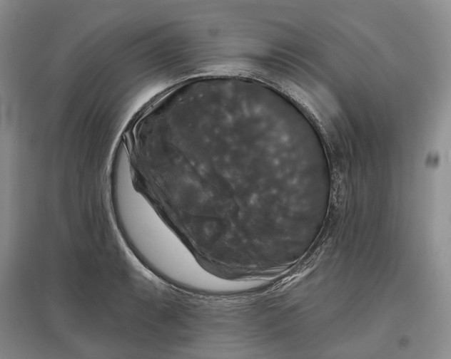 X0000097591087200803141849