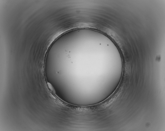 X0000097591089200803141849