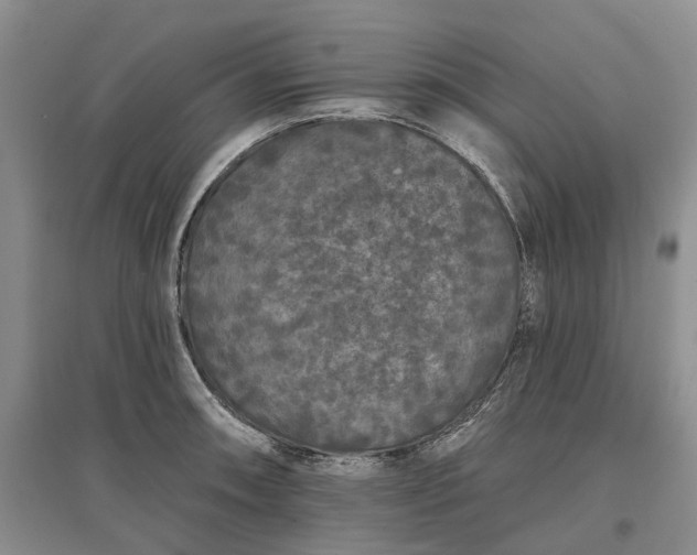 X0000097591090200803141849