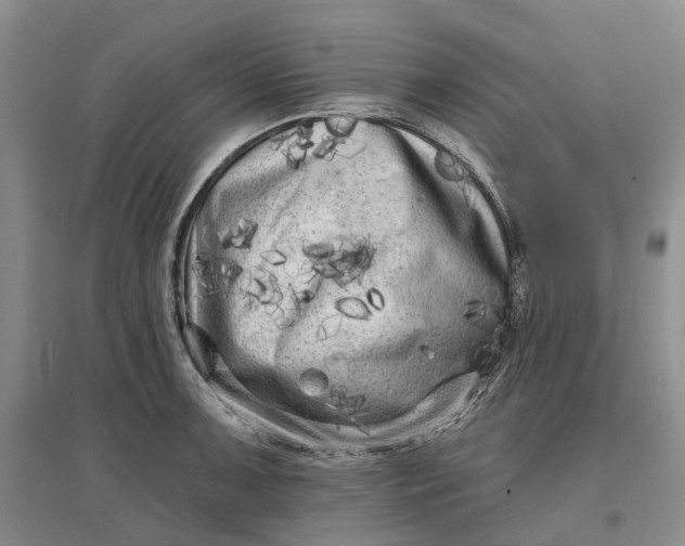 X0000097591091200803141849