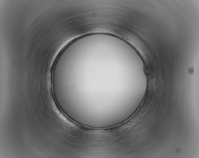 X0000097591092200803141849