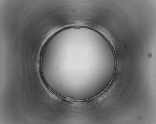 X0000097591093200803141849