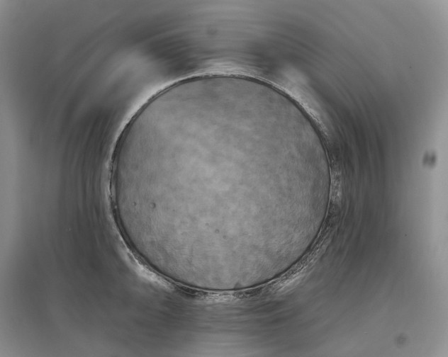 X0000097591094200803141849