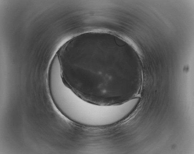 X0000097591095200803141849