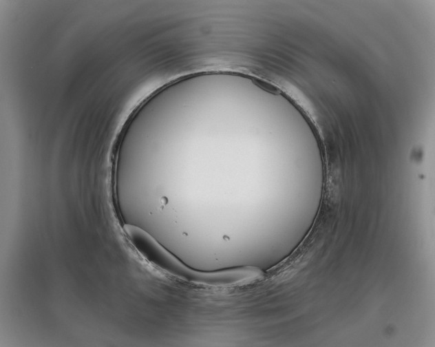 X0000097591096200803141849