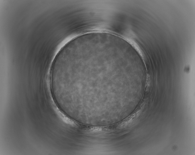 X0000097591098200803141849