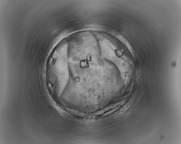 X0000097591099200803141849