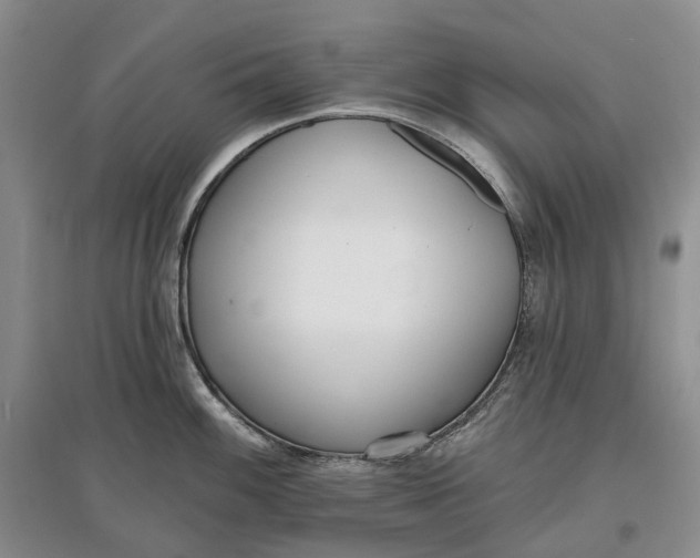 X0000097591100200803141849