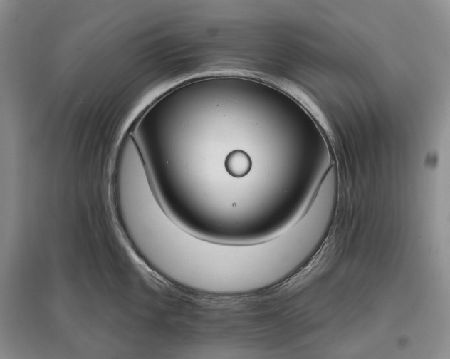 X0000097591101200803141849