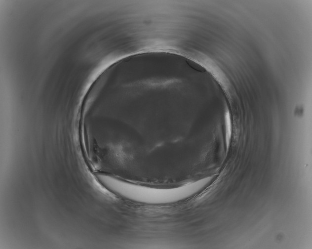 X0000097591102200803141849