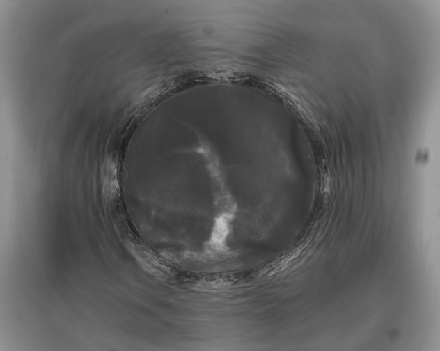 X0000097591106200803141848