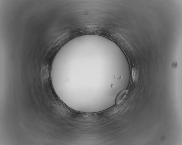 X0000097591107200803141848