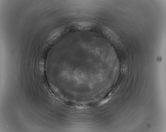 X0000097591108200803141848