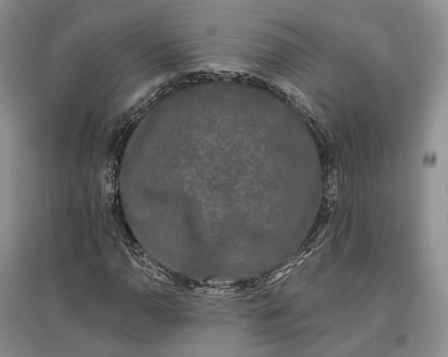 X0000097591110200803141848