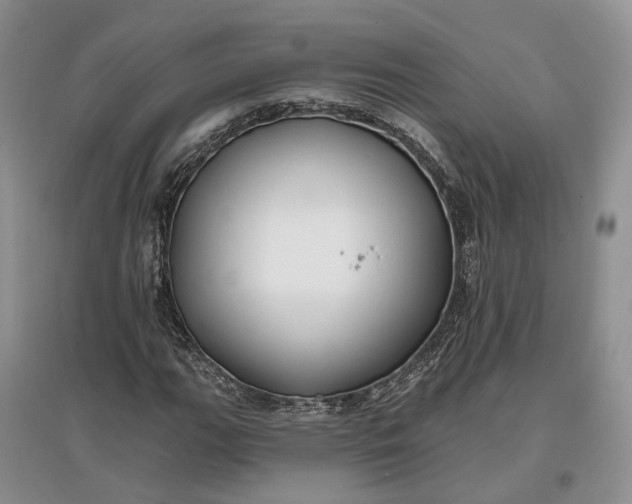 X0000097591111200803141848