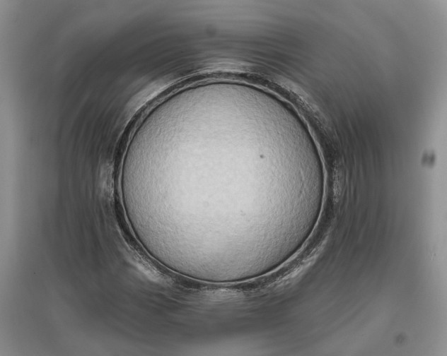 X0000097591113200803141848