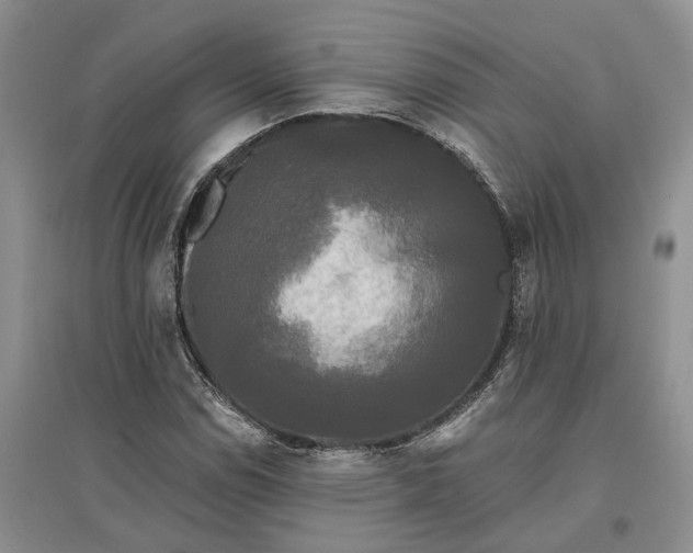 X0000097591114200803141848