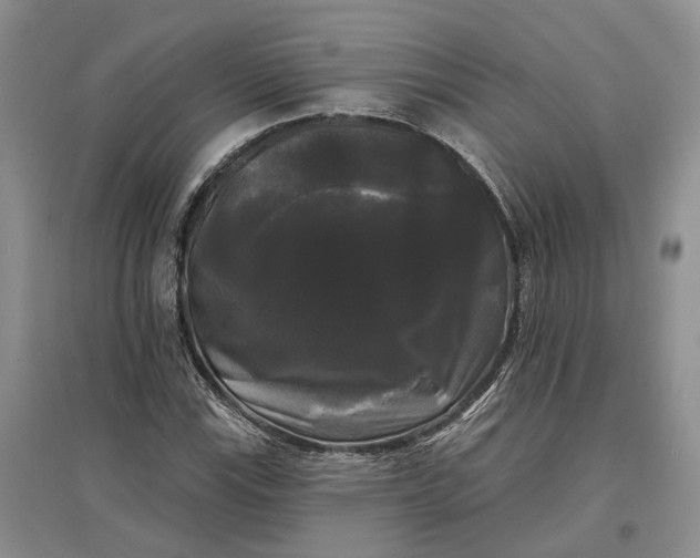 X0000097591115200803141848