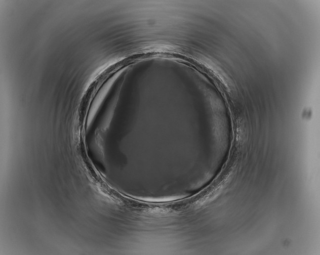 X0000097591117200803141848