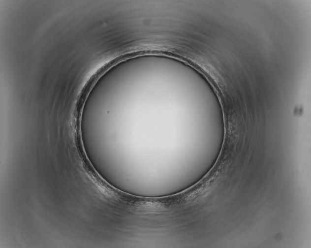 X0000097591119200803141849