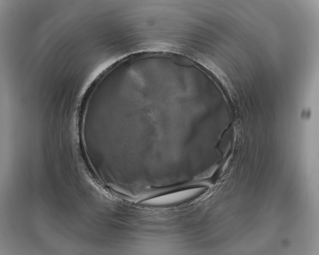 X0000097591120200803141849