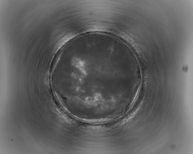 X0000097591121200803141849