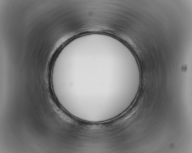 X0000097591122200803141849