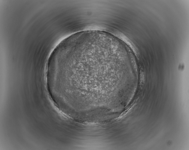 X0000097591124200803141849