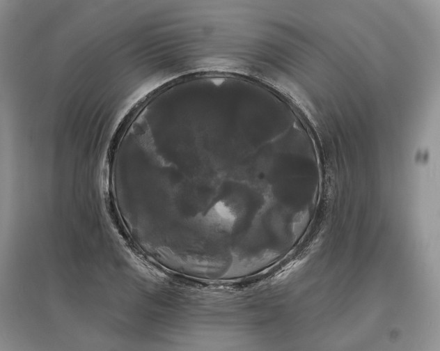 X0000097591125200803141849