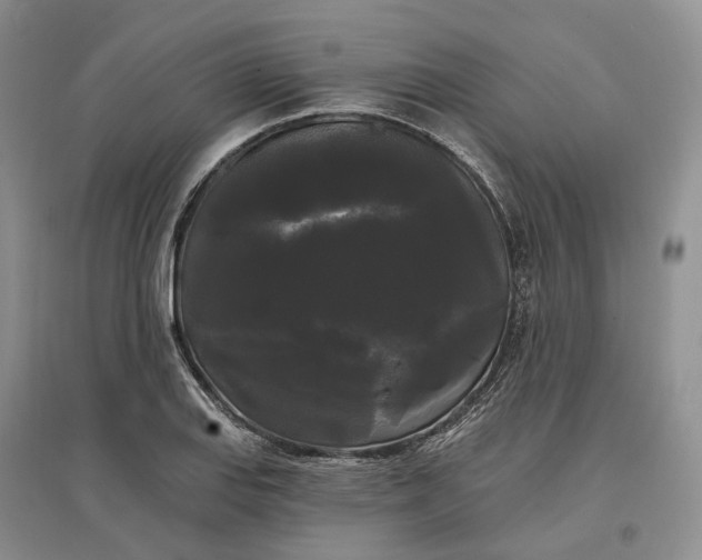 X0000097591127200803141849