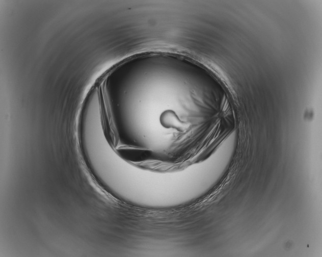 X0000097591128200803141849