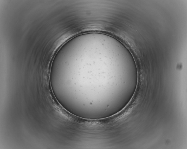 X0000097591129200803141849