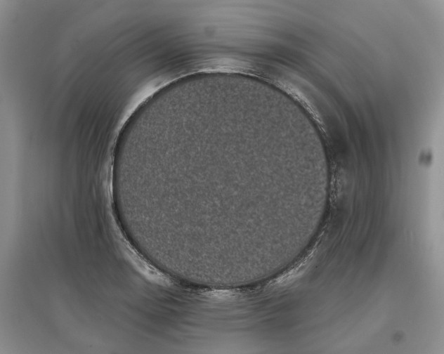 X0000097591130200803141849