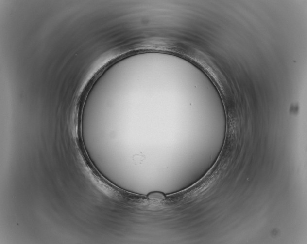 X0000097591131200803141849