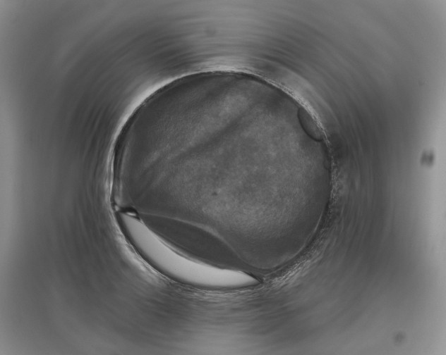 X0000097591132200803141849