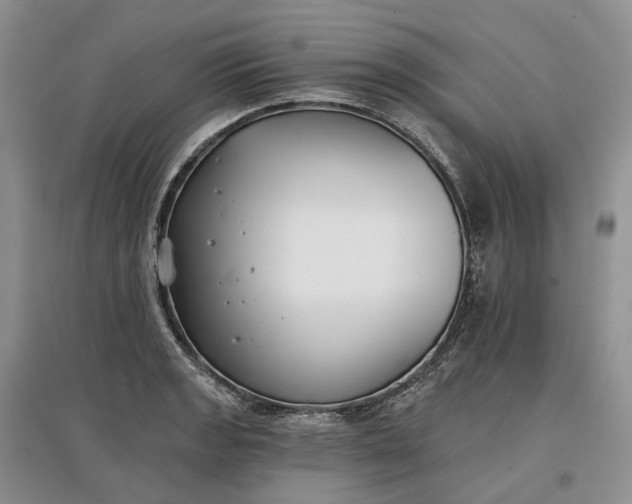 X0000097591133200803141849