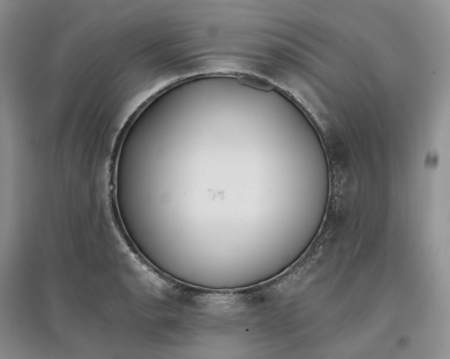 X0000097591134200803141849