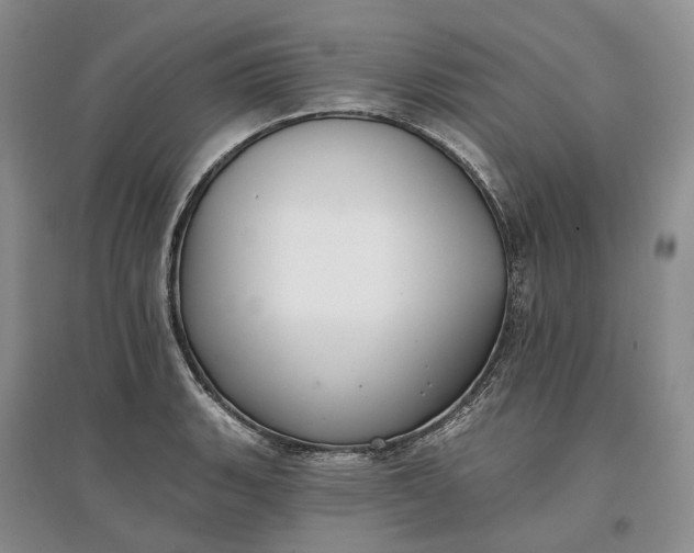 X0000097591135200803141849