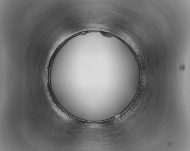 X0000097591136200803141849