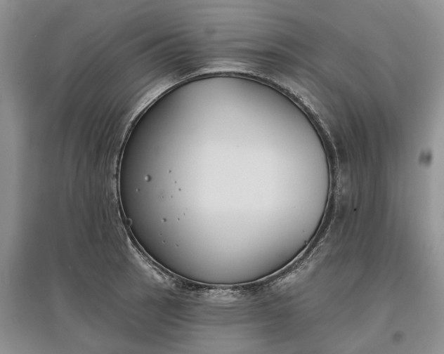 X0000097591137200803141849