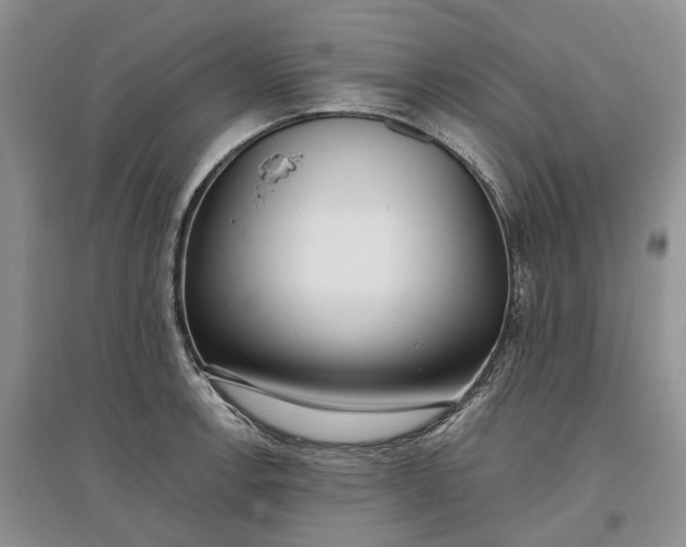 X0000097591138200803141849