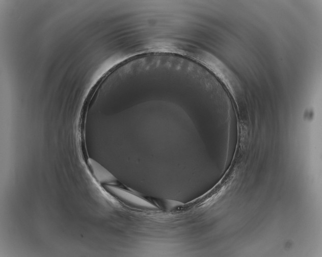 X0000097591141200803141849